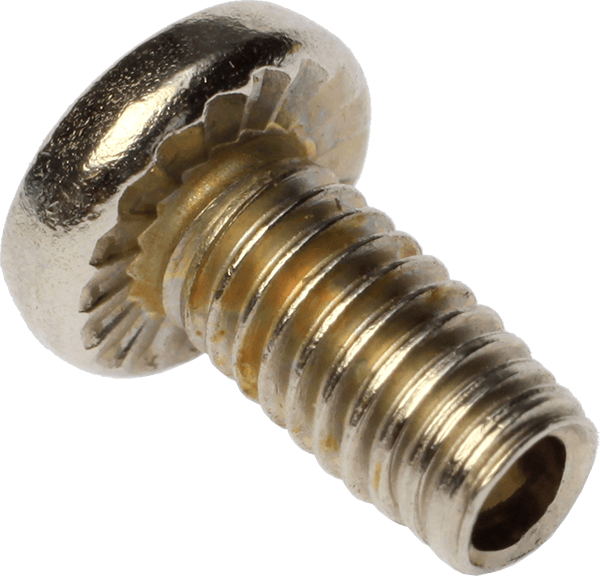Solid and half-hollow screws